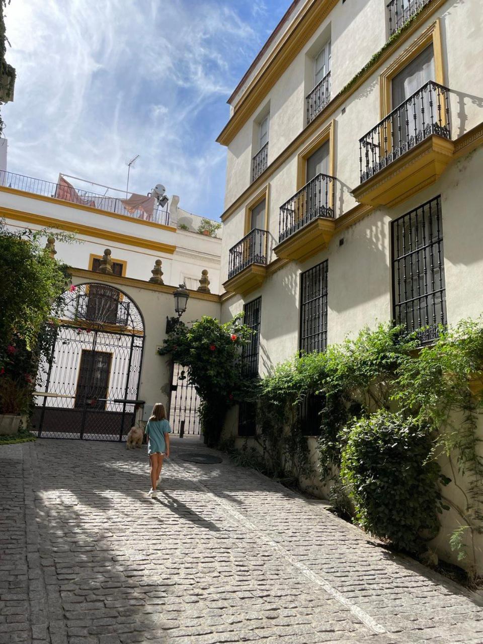 Sevilla Centro-Casco Antiguo -Vidrio 36 Exterior foto